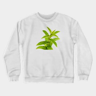 Fresh Mint Leaves Detail Crewneck Sweatshirt